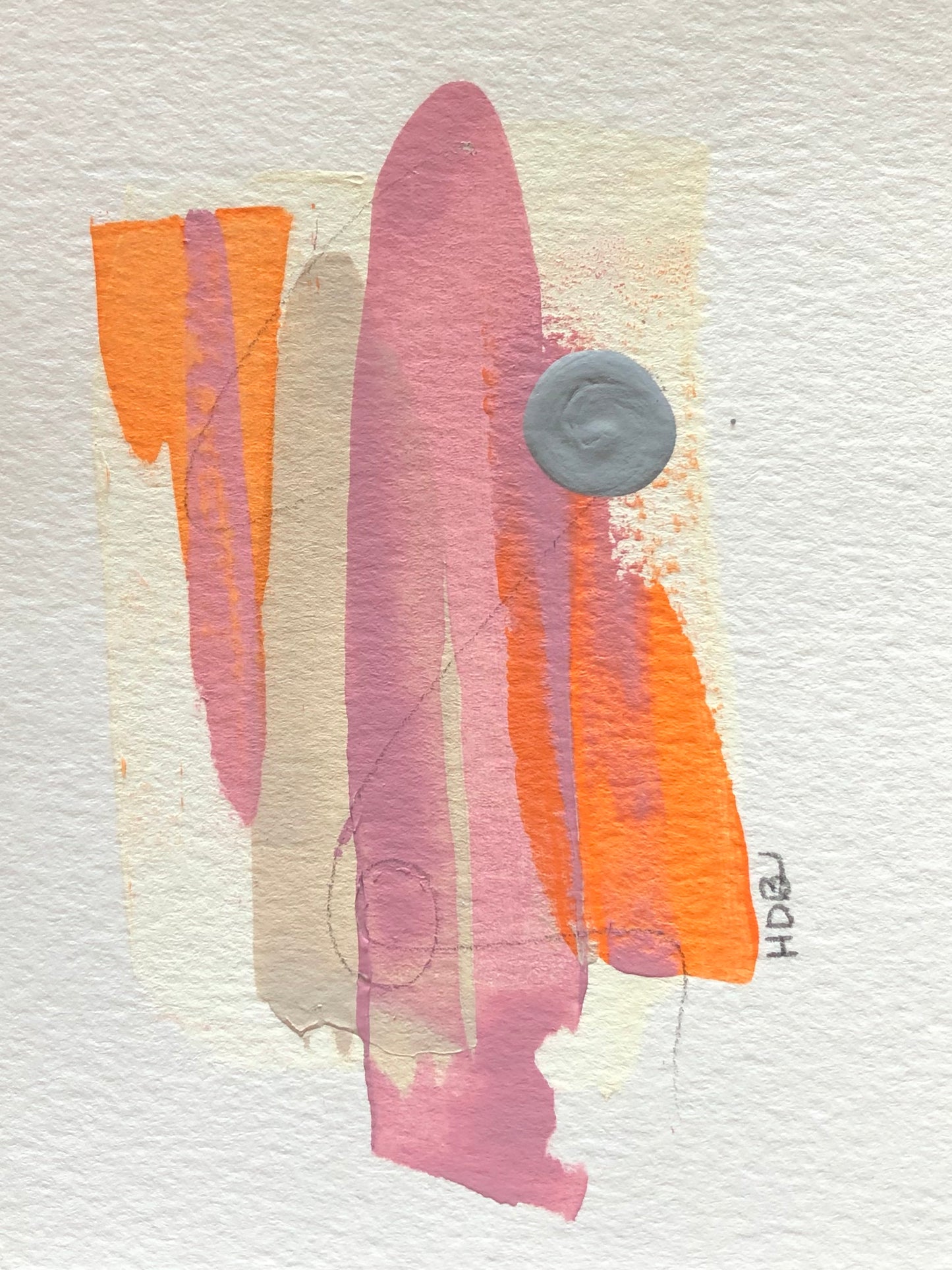 Conch Shell 2